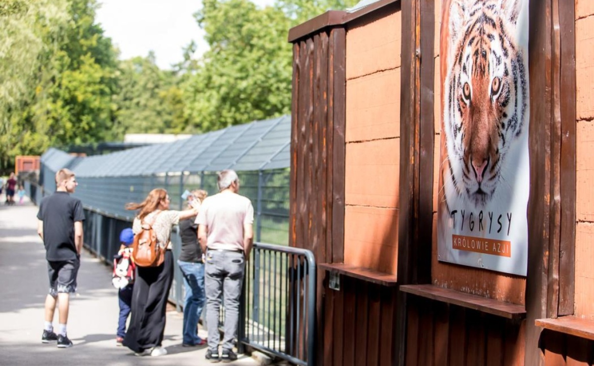 Dream Night – Wieczór Marzeń w ZOO w Chorzowie - Serwis informacyjny z Raciborza - naszraciborz.pl