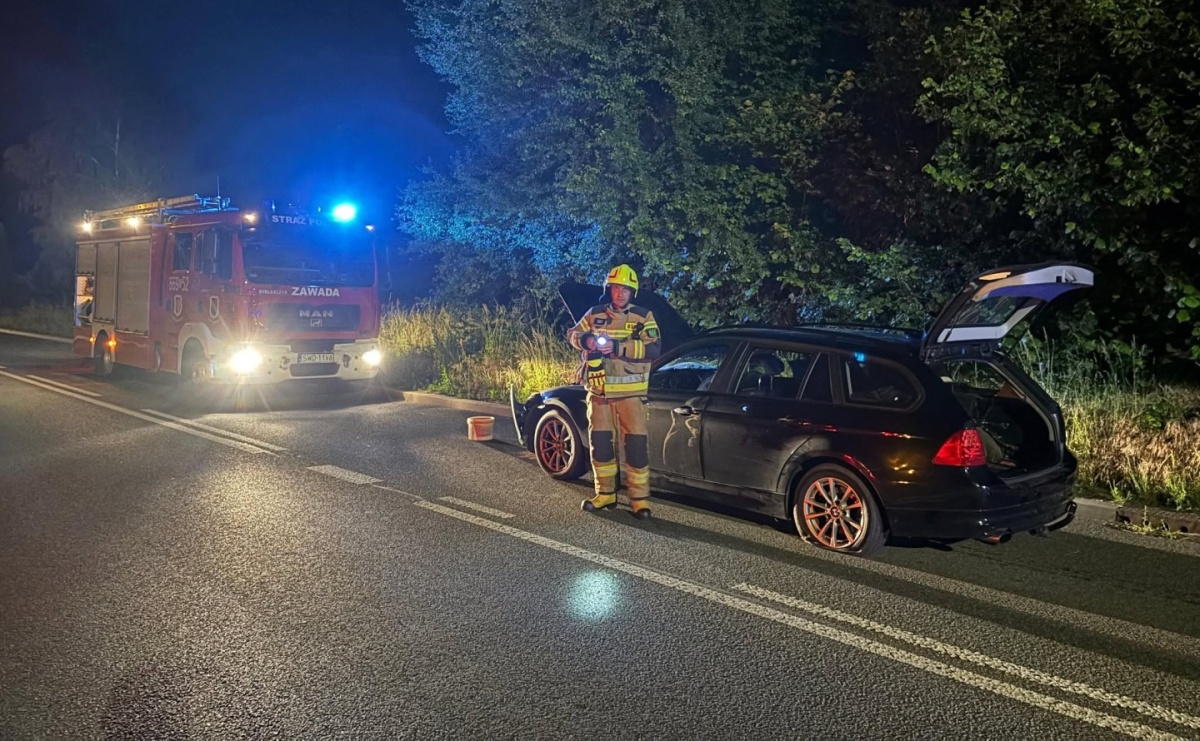 Uderzył w auto i zniknął w lesie. Nocna akcja służb w Wodzisławiu Śląskim - Serwis informacyjny z Raciborza - naszraciborz.pl