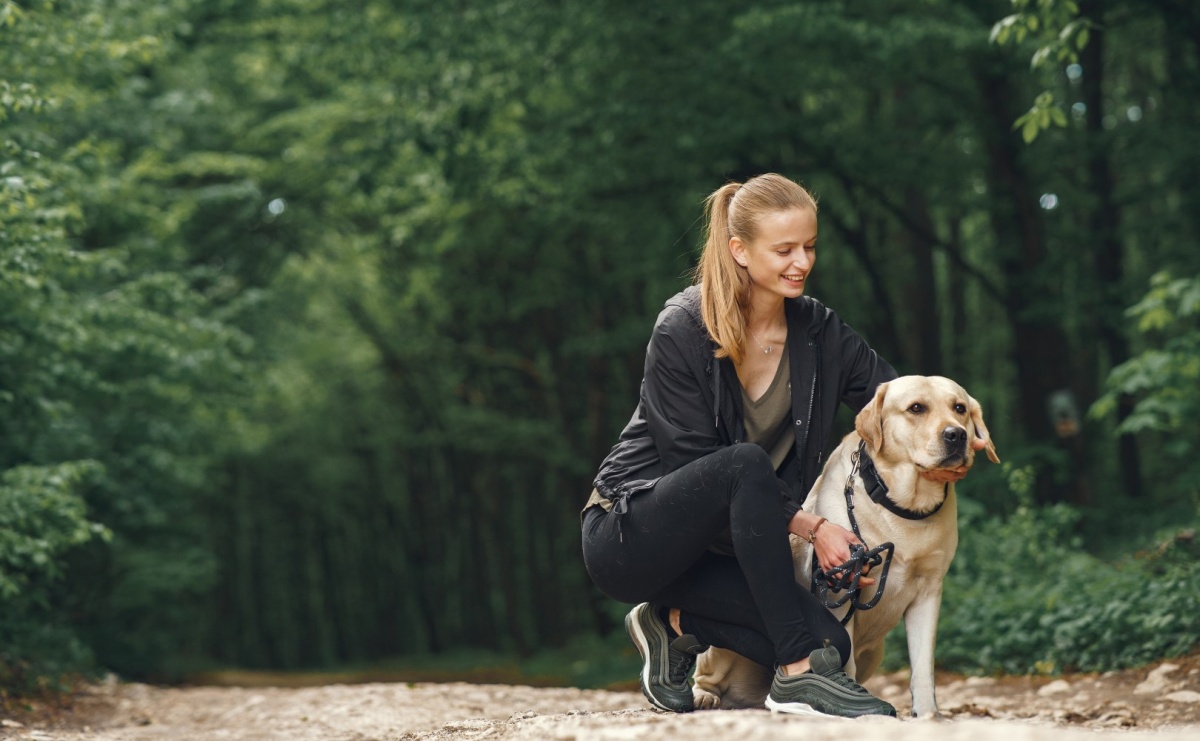 II Psia Fiesta na Balatonie. Dogtrekking, atrakcje i pomoc dla zwierząt już 12 lipca - Serwis informacyjny z Wodzisławia - naszwodzislaw.com