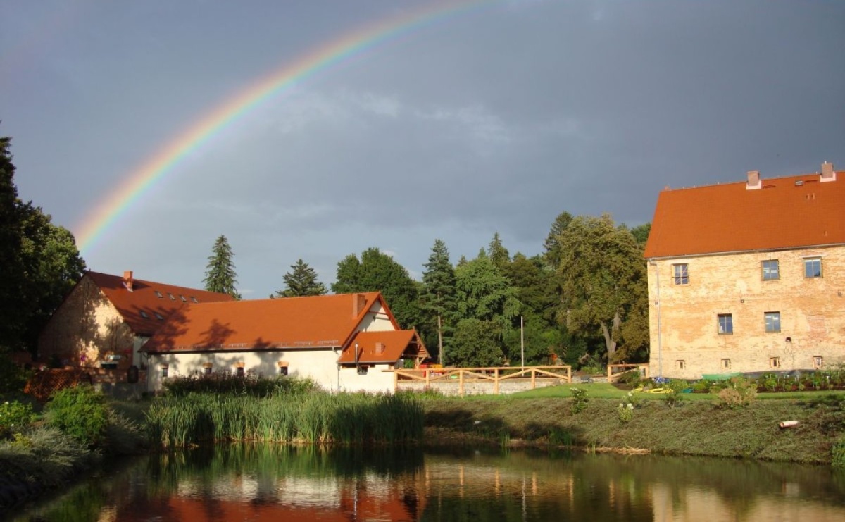 Weekend wśród kwiatów i zieleni. Trwają zapisy na wycieczkę do Arboretum Wojsławice - Serwis informacyjny z Raciborza - naszraciborz.pl