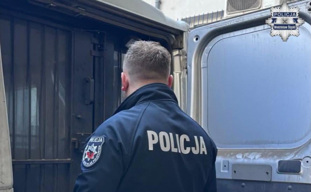 Kradzież rozbójnicza i zniszczenie mienia. 24-latka trafiła do aresztu - Serwis informacyjny z Raciborza - naszraciborz.pl