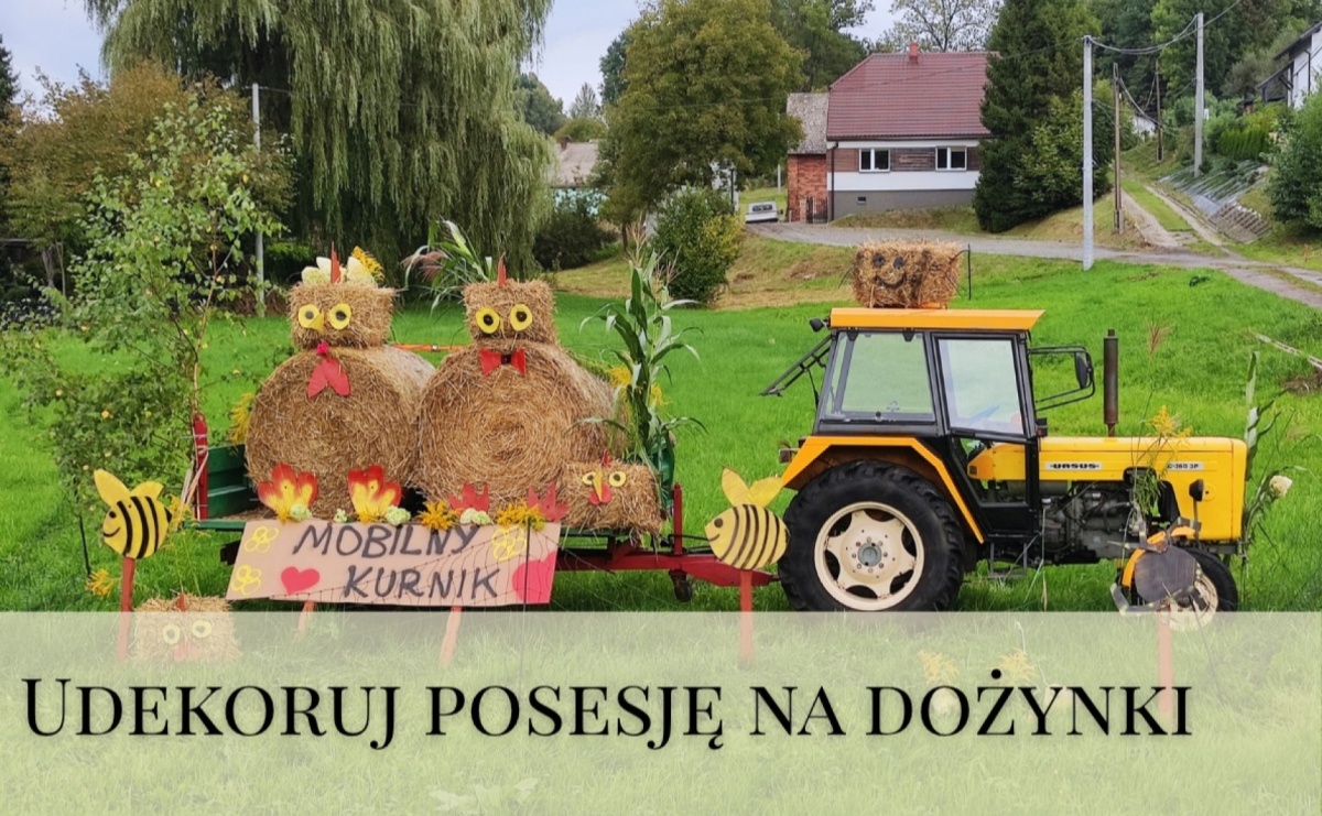 Gogołowa: Masz posesję przy trasie korowodu? Możesz wygrać nagrodę za dożynkową dekorację - Serwis informacyjny z Raciborza - naszraciborz.pl