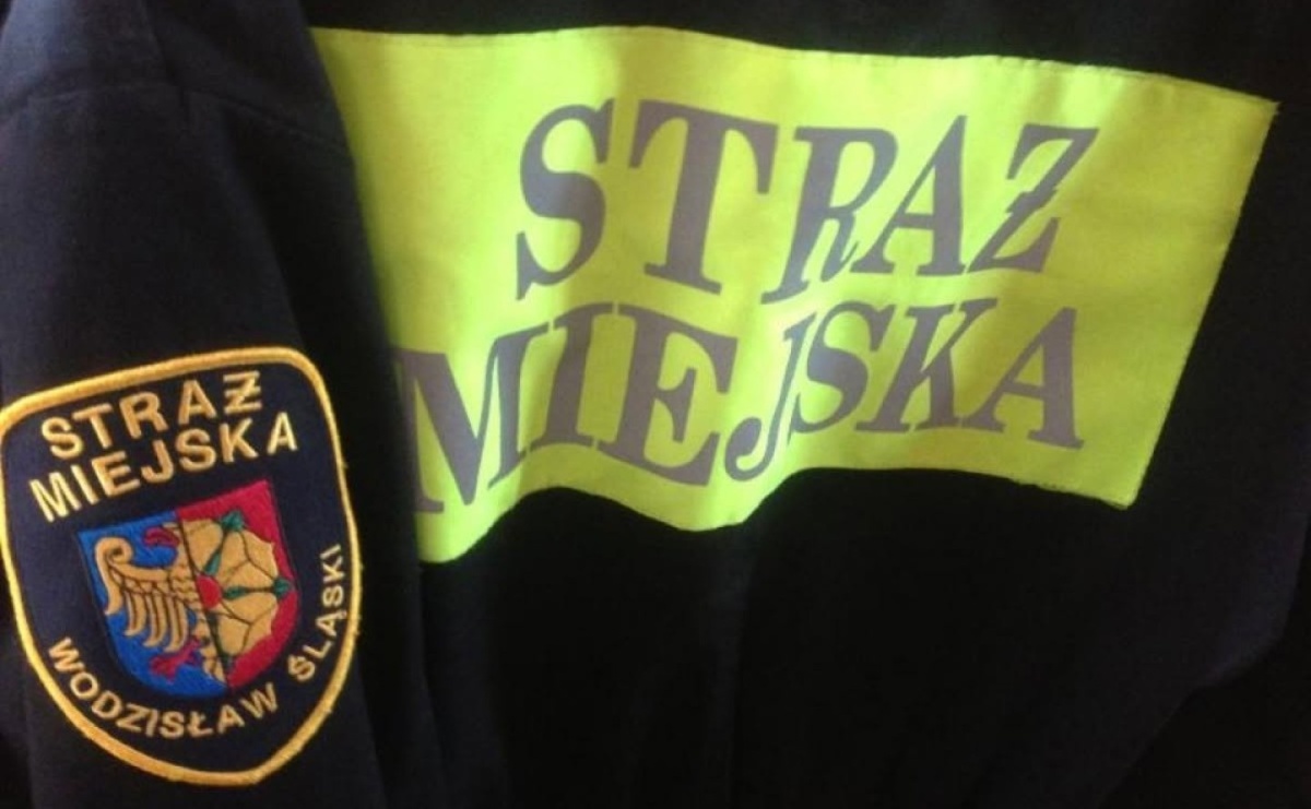 Młoda kobieta szła środkiem jezdni. Strażnicy miejscy ruszyli z pomocą - Serwis informacyjny z Raciborza - naszraciborz.pl