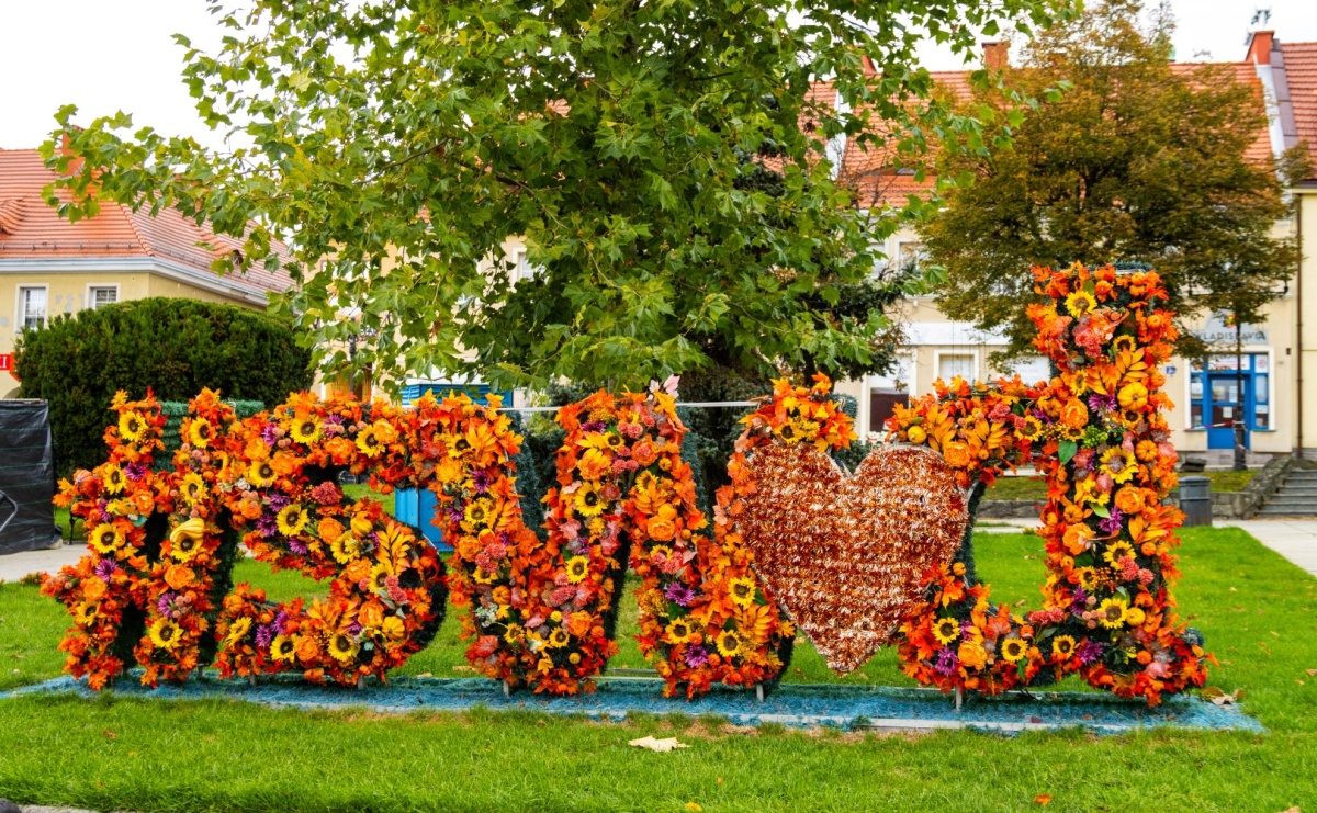 Co? Gdzie? Kiedy? Weekend w Wodzisławiu Śląskim - Serwis informacyjny z Raciborza - naszraciborz.pl