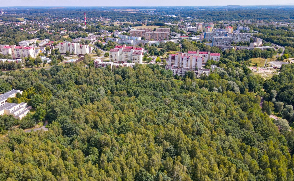 Tereny pod inwestycję w Wodzisławiu Śląskim. Miasto wskazuje lokalizację przy Trzech Wzgórzach - Serwis informacyjny z Raciborza - naszraciborz.pl